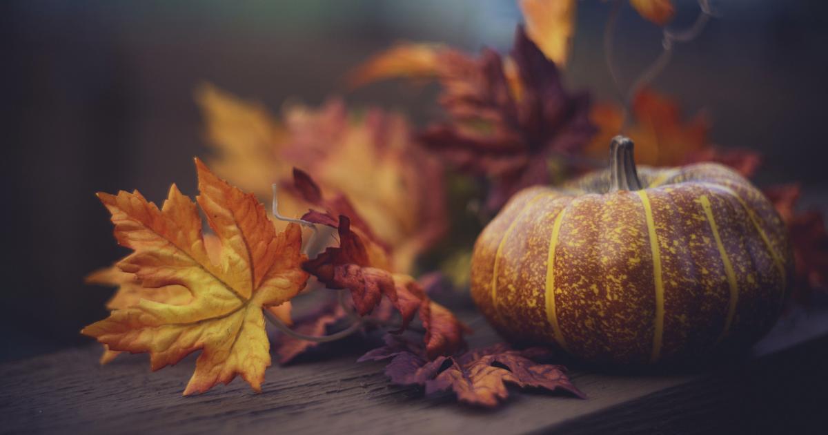 thanksgiving   image