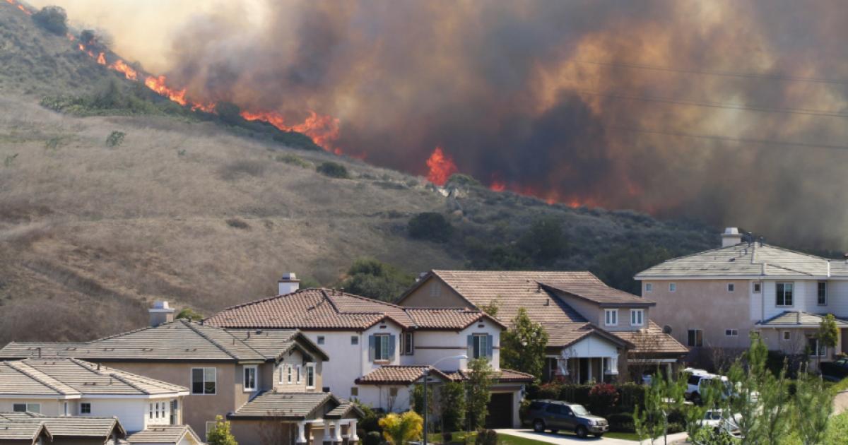 fire   image