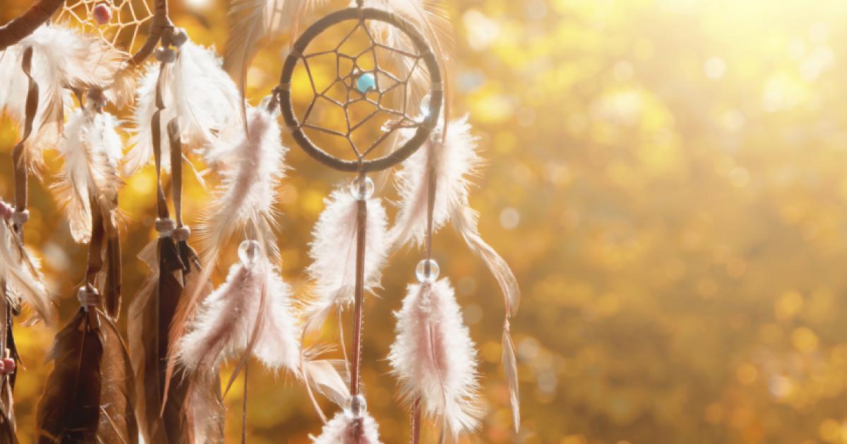 nativeamerican   large image
